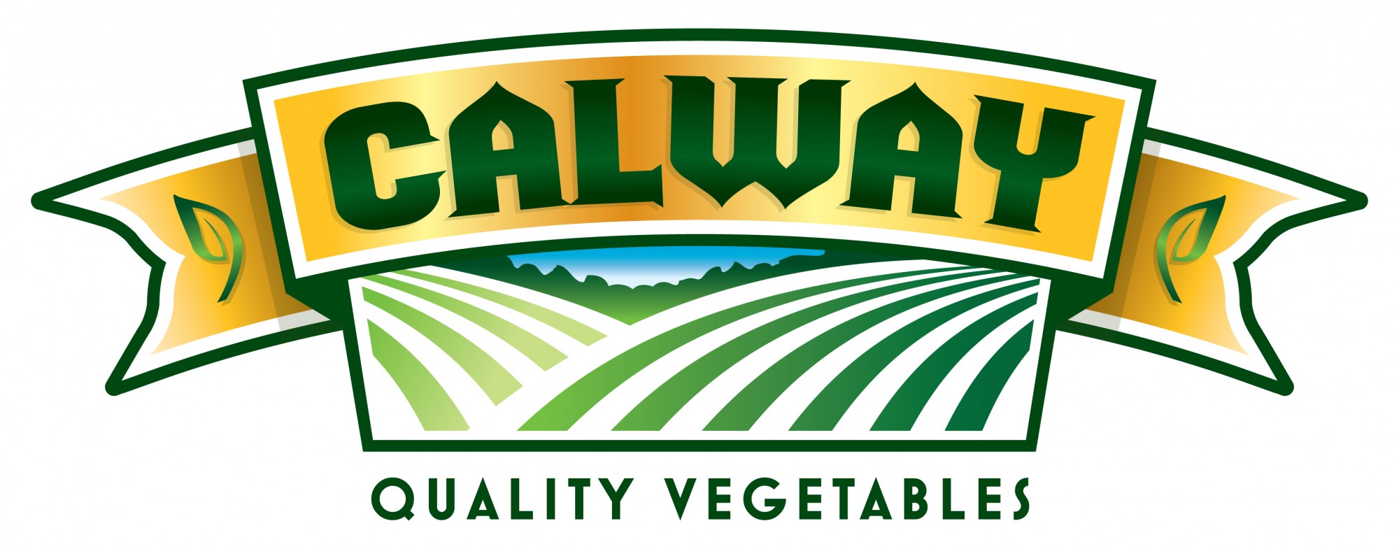 Calway logo
